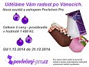 Prosincová soutěž o povlečení na eshopu povleceni-pro.cz