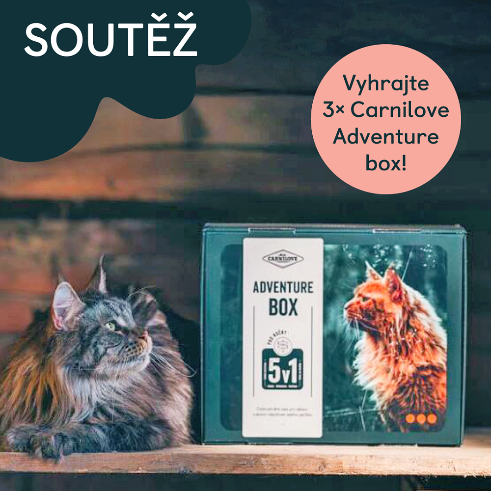 Vyhrajte luxusní Carnilove Adventure box pro svou kočku!