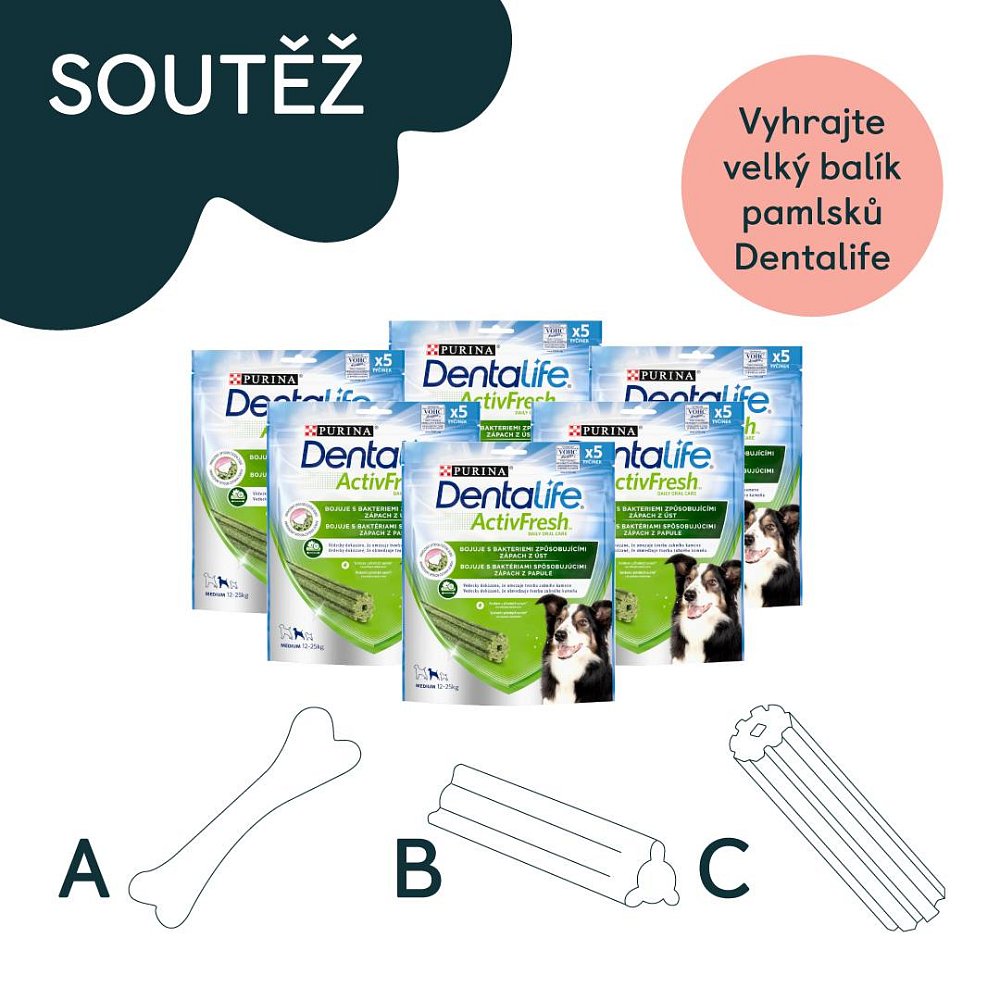 Soutěž o velký balík dentálních pamlsků Dentalife!