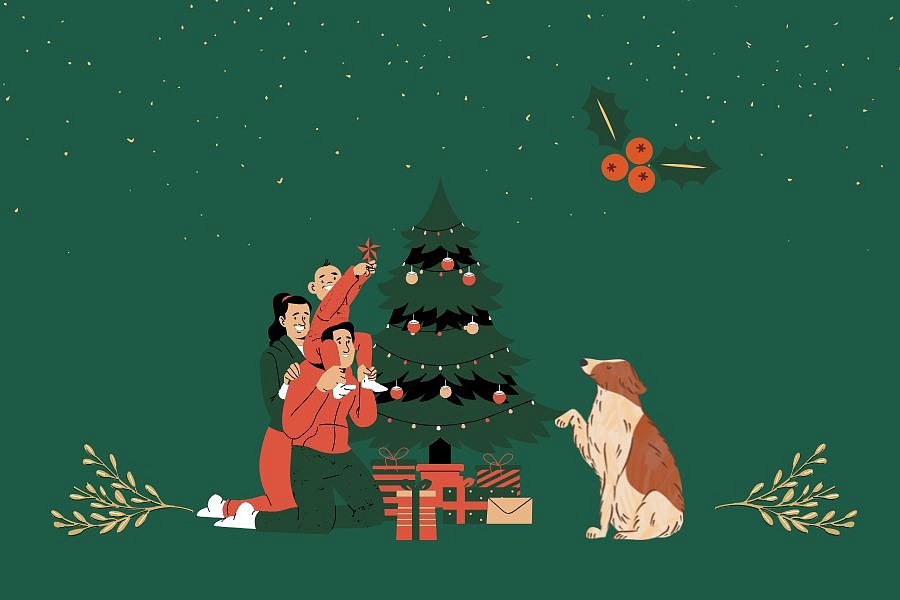 Velká vánoční soutěž 2025