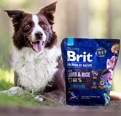 Soutěž o nové masové kapsičky Brit Premium by Nature