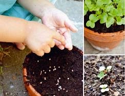 Soutěž o knihu Zahrada žije – zahradničíme s dětmi