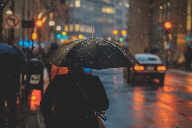 osman rana gxezuwo5m4i unsplash (1)