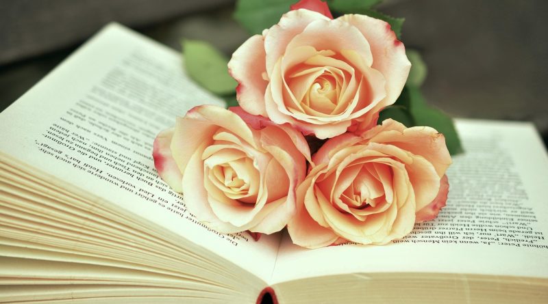 a book 1771073 1280